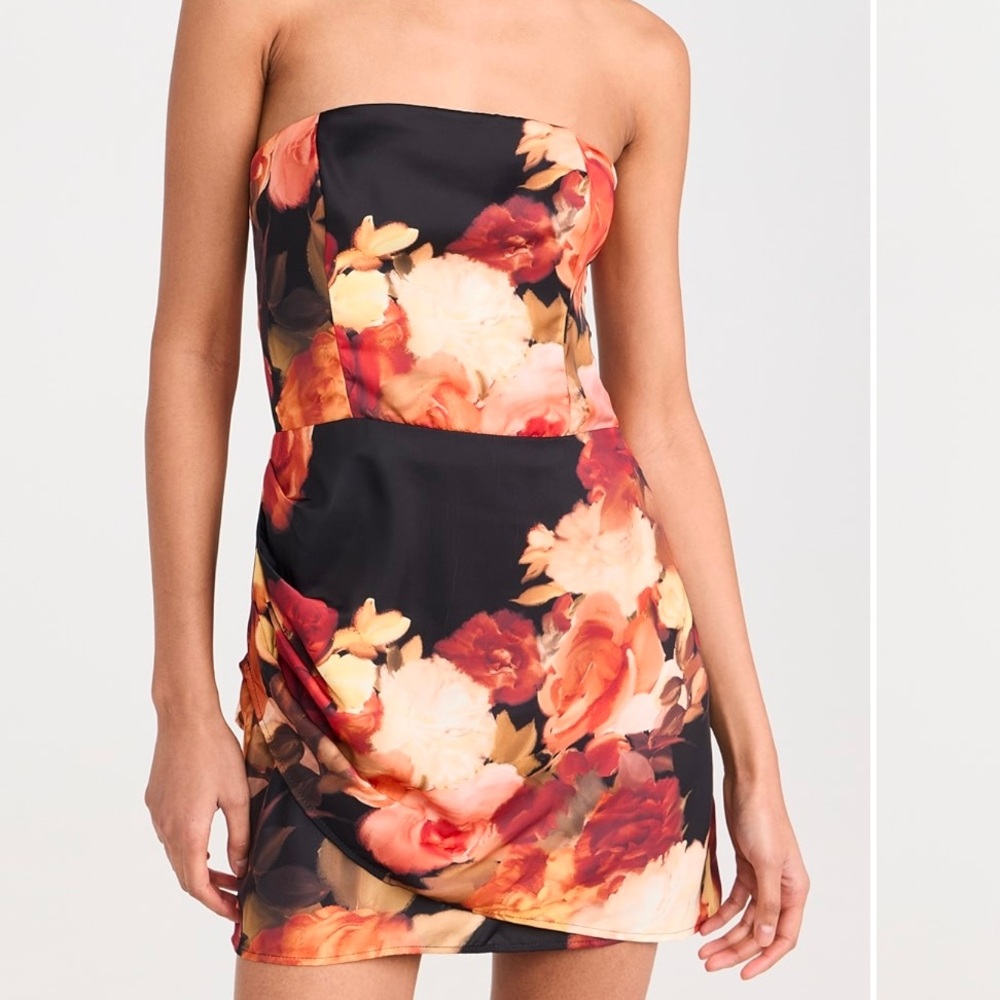 Brand New Resa Cindy Dress